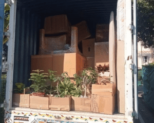 goods loaded in truck for relocation
